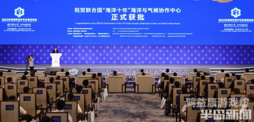国产日本在线，跨文化合作的典范与未来展望