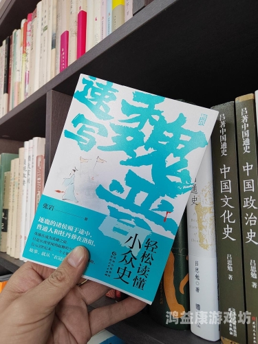 深入解析一本大道无码视频一区二区，网络视频分区的现状与未来趋势