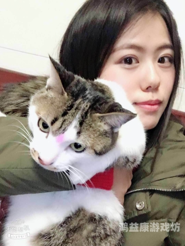 好看的无码专区，最新无码影片推荐与解析