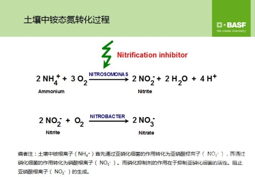 最佳磁力吧ciliba磁力链，开启高效能数据传输新时代
