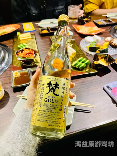 中文天堂在线一区，探索中国文化的数字新天地