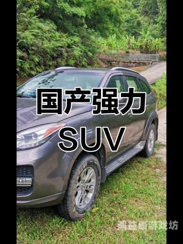 国产UU精品无码视频，现象、影响与未来发展趋势
