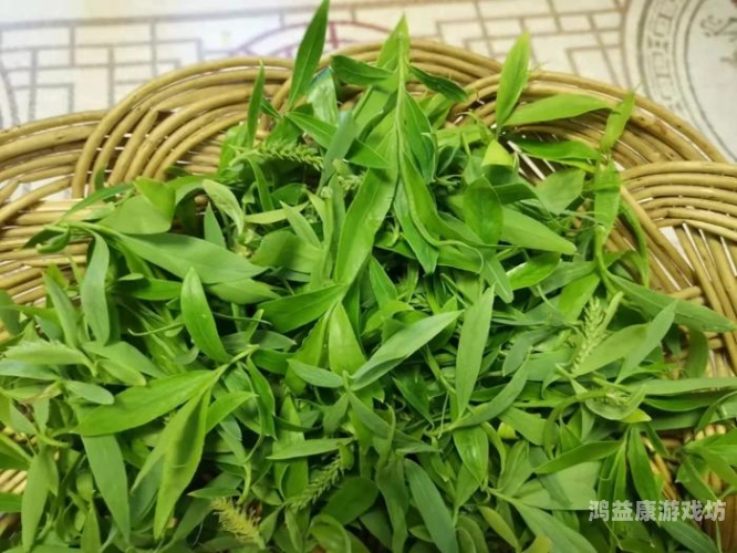 国产香线蕉手机在线观看，高清流畅体验，随时随地享受影视盛宴中国大陆香蕉2019年新款