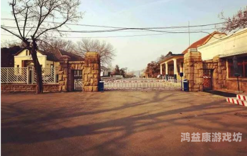 欧美日韩一区二区精品，全球文化交融的缩影与影响