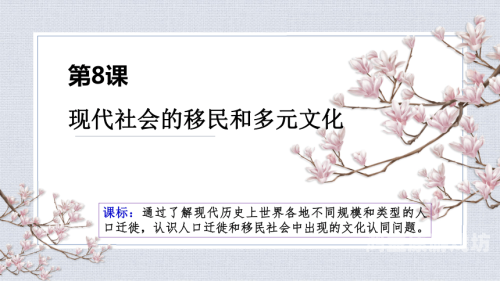亚洲一区二区少妇，社会角色、文化背景与现代变迁的深度解析
