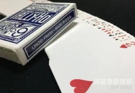 扑克观看区免费观看，揭秘背后的精彩世界