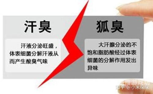腋下有异味怎么判断是不是狐臭腋下有异味怎么判断是不是狐臭用