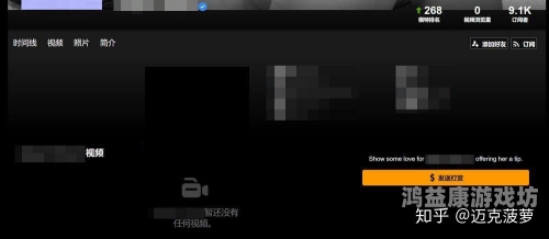 精品一区二区三区在线观看视频，全面解析与使用指南