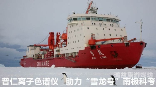 国产综合精品崛起，品质与创新的双重奏鸣
