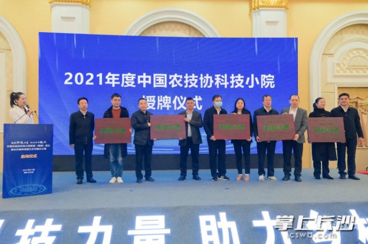 拇指玩，开启掌上科技新篇章
