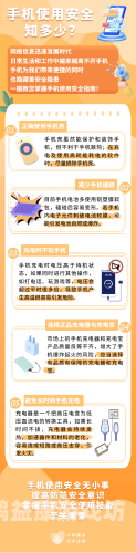 成人手机在线视频，趋势、风险与安全指南