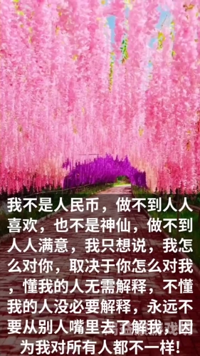 久久精品，人人做人人爽的背后，揭秘网络平台的运营之道