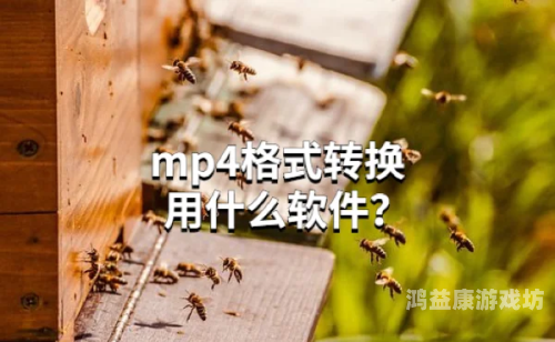 迅捷视频转换器，高效、便捷的视频格式转换工具