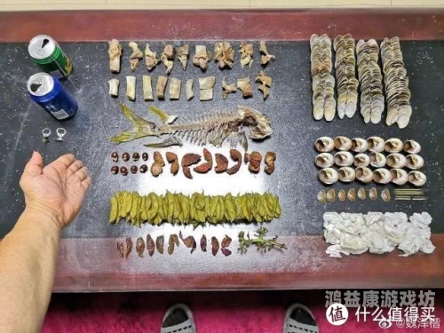 解析一区二区三区视频分类，为何不人妻无码内容引发争议？