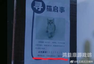 亚洲精品国产成人7777，探索高质量本土成人内容的发展与趋势亚洲精品国产成人片一