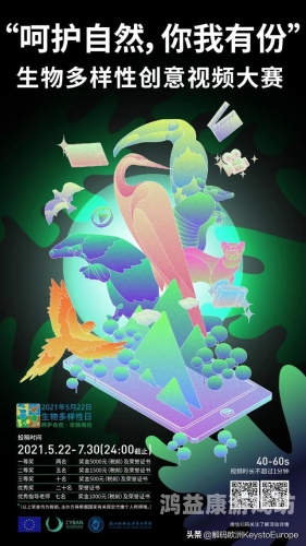 在线亚洲专区精品中文字幕，探索亚洲影视文化的魅力与多样性亚洲中文字码2021