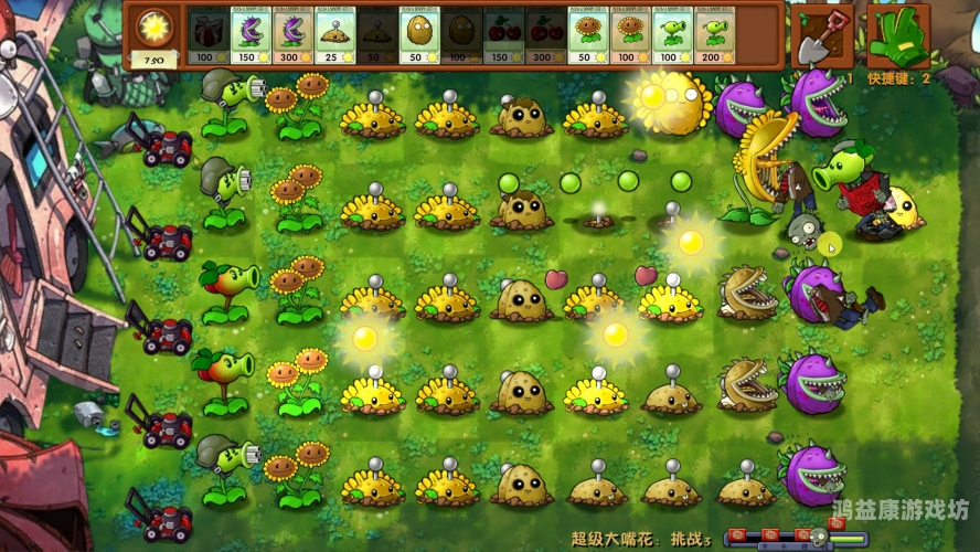 植物大战僵尸95版正版，经典游戏的新篇章植物大战僵尸95版正版游戏特色
