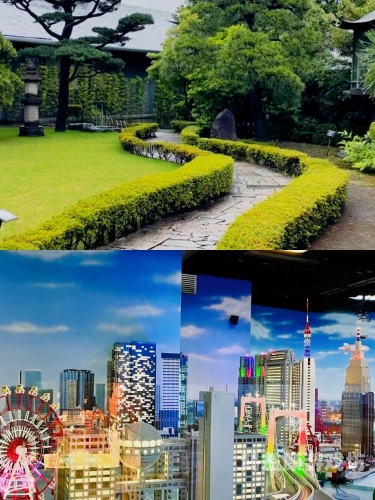 日本成片区免费，探索日本免费旅游资源的深度指南