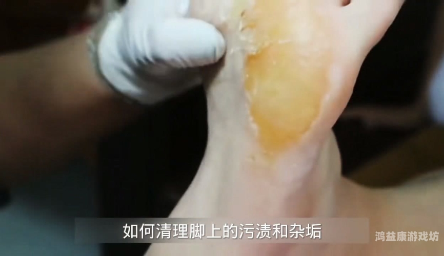 在免费的视频在线观看婷婷，探索优质内容与合法观看的平衡