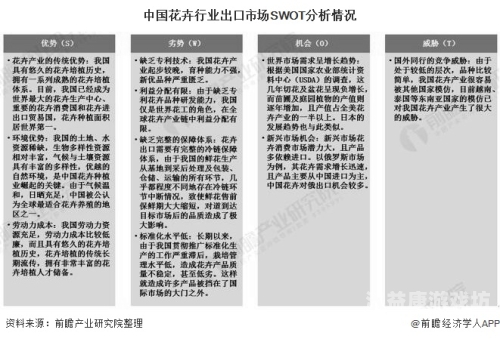 成人国产在线，市场现状、发展趋势与用户需求分析千金直播官网免费下载