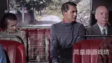 国产欧美一区二区综合，深度解析电影与电视剧的分类与市场趋势国产欧美一区二区综合久久香