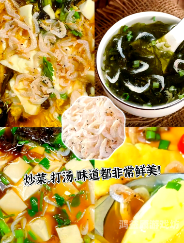 虾皮影视，东南亚市场的璀璨明珠，未来可期虾皮影视下载安装