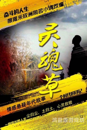 探索日本草草影院入口，观影体验与文化魅力