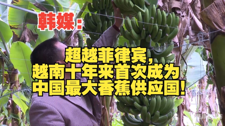 亚洲香蕉产业迎来新机遇，一本大道在线助力果农增收