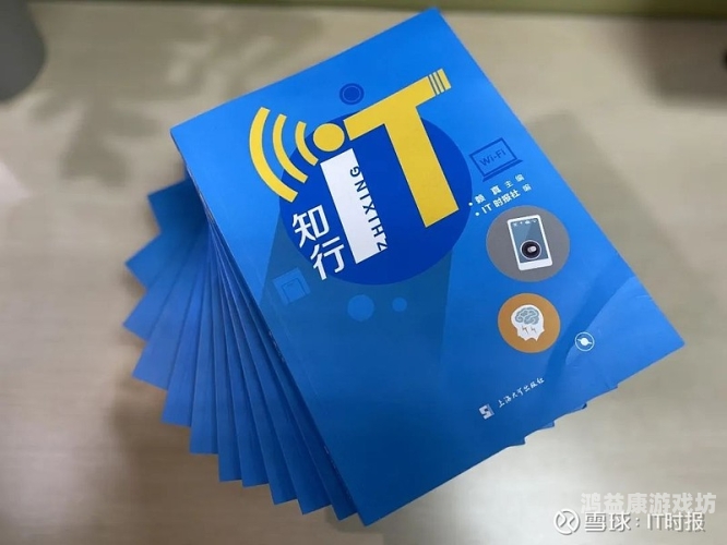 日韩福利在线，探索两国福利政策的现状与未来
