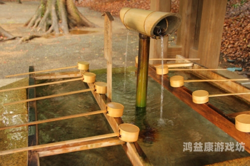 天天在线一道本，探索日本文化的深度与广度
