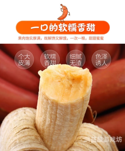 国产精品香蕉一区二区三区，品质与市场分析