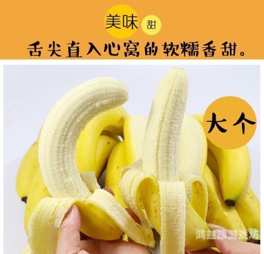 国产精品香蕉一区二区三区，品质与市场分析