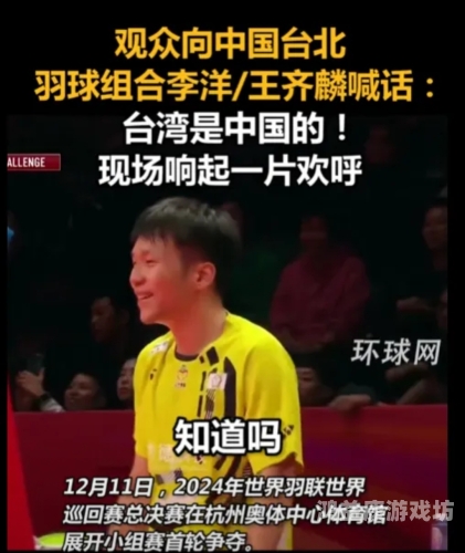 世界羽联巡回赛总决赛，羽毛球的荣耀之争2024世界羽联巡回赛总决赛