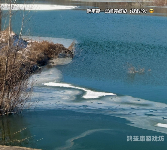 狠狠草影院在线观看，深度解析网络观影新趋势与合法观看指南