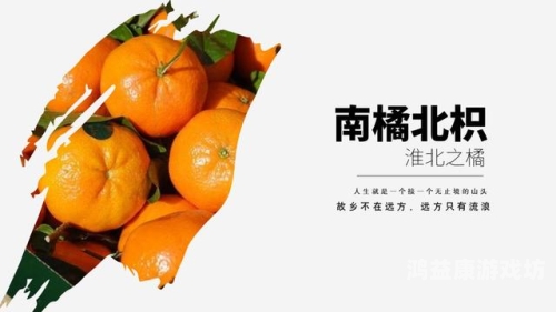 亚洲人成综合网站777香蕉，探索亚洲文化在数字时代的崛起亚洲综合症