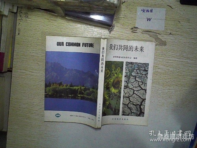 永久国产免费高清，探索国产高清资源的未来与发展