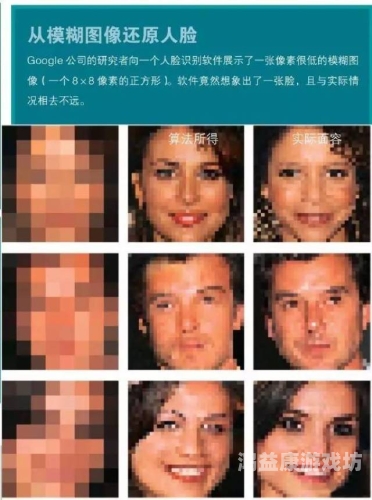 无码专区www无码专区，网络内容管理的挑战与机遇