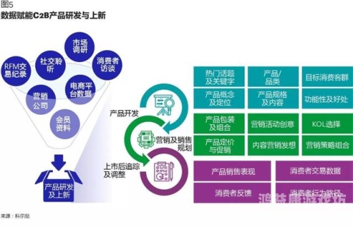 久久91精品，探索数字时代下的内容消费新趋势