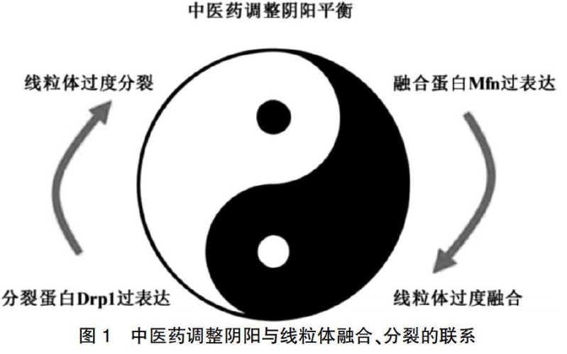 国产免费一级高清婬中国片，内容质量与市场需求的平衡探讨