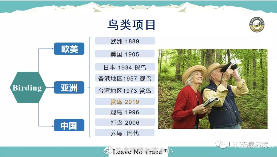 欧美性爱网站在线，探索网络成人内容的新趋势与挑战
