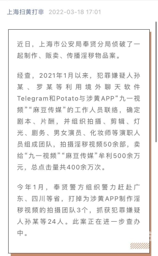 91麻豆国产福利在线观看，探索国产影视的崛起与观众选择91麻豆传媒视频在哪