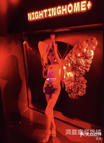 日本午夜一区二区三区，探索东京夜生活的独特魅力