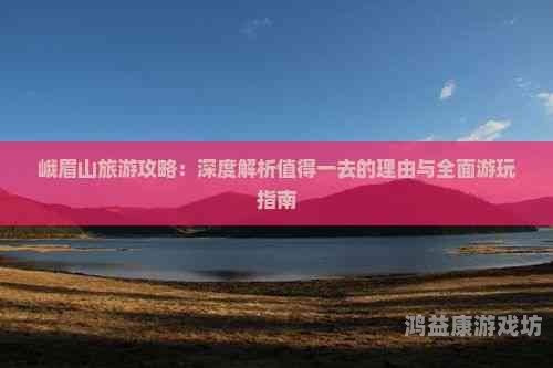久久综合一区视频，全面解析与用户指南