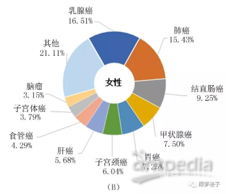 女性视角下的成人内容，探索在线AV平台的新趋势