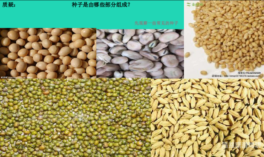 国产真实younv种子，探索国产优质种子的崛起与发展