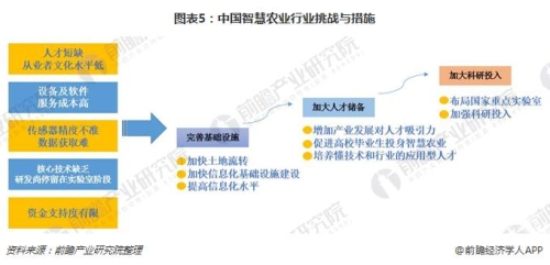 亚洲精品影视崛起，探索文化魅力与市场机遇