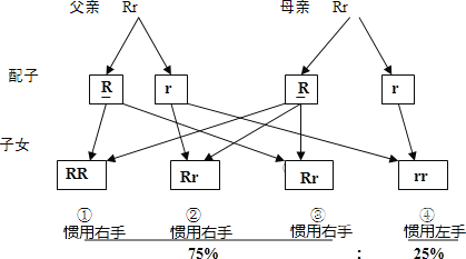 深入解析右手无码一区二区三区的含义及其应用领域一区无音讯