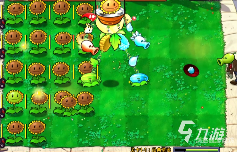 植物大战僵尸1，经典版本的回顾与探讨植物大战僵尸1老版本中文版