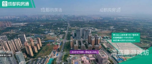 视频一区二四三区四区，全面解析与未来发展展望
