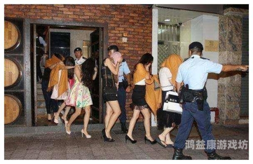 国产麻豆剧传媒，探索精品国产AV的新时代国产麻豆画精品传媒2021
